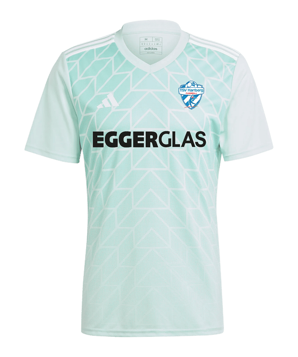adidas TSV Hartberg Shirt Kinderen Turkoois - turkoois