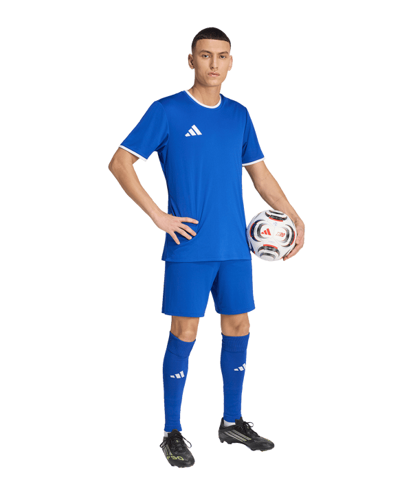 adidas Entrada 26 Trikot Blau - blau