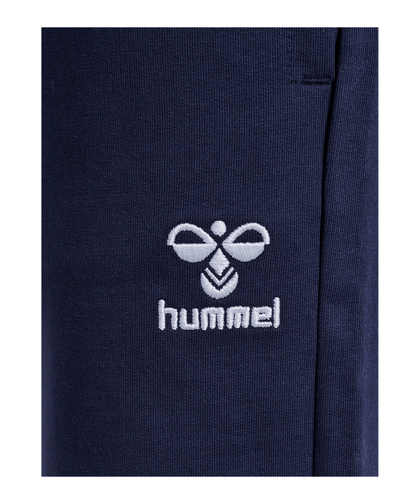 Hummel GO 2.0 Jogginghose Kids Blau F7026 - blau