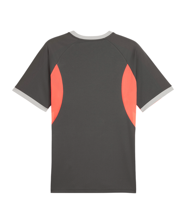 PUMA Individualliga Graphic Trikot Grau F10 - grau