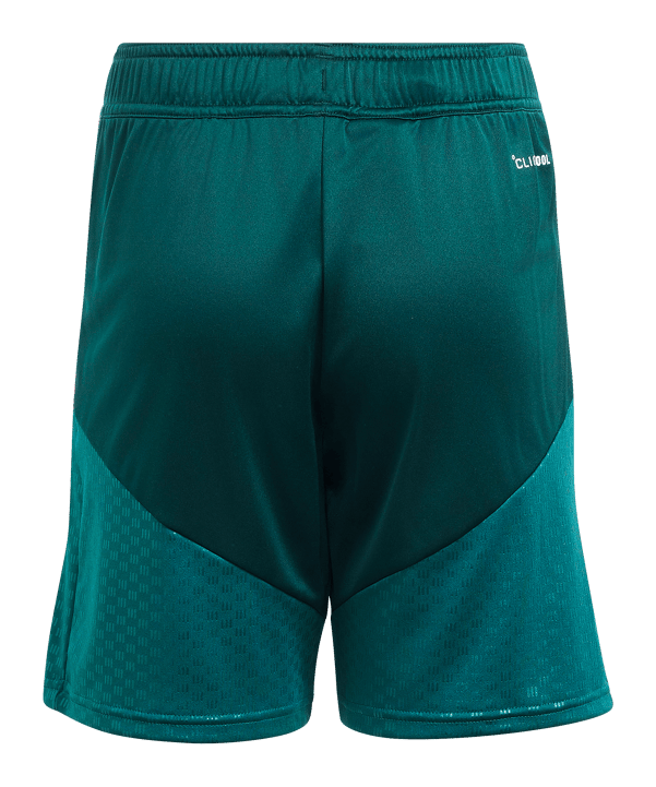 adidas Real Madrid Tiro26 Competition Pantaloncini Bambini Verde - verde