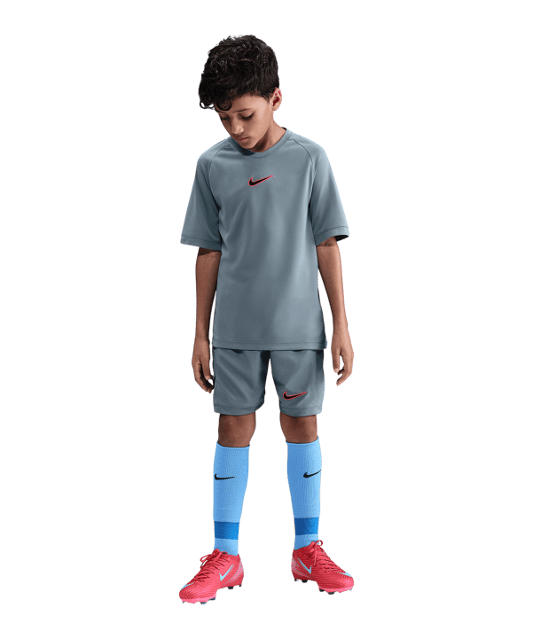 Nike Academy 25 Trikot Kids Grau F065 - grau