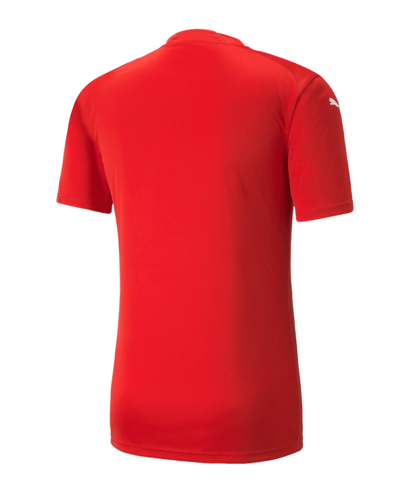 PUMA teamGLORY Trikot Rot F01 - rot