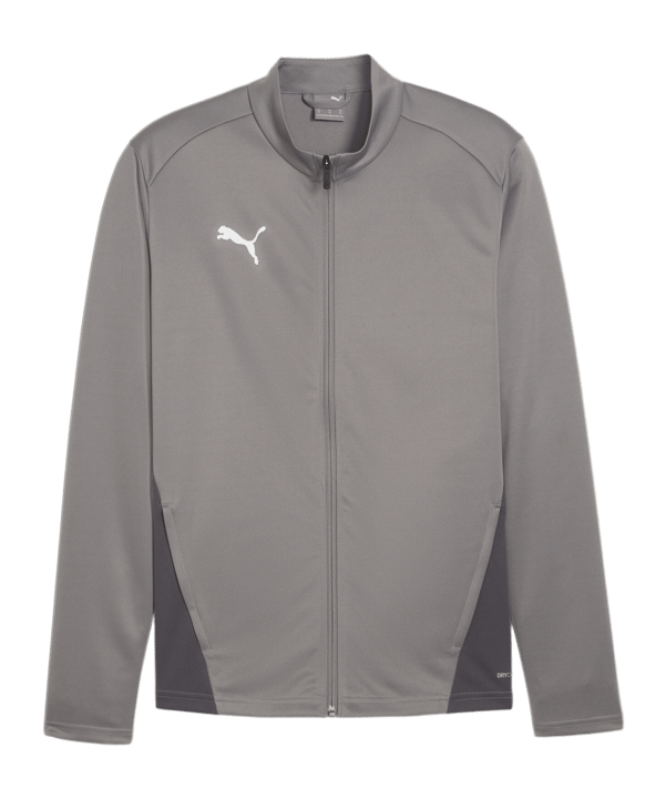 PUMA teamGOAL Trainingsjacke Grau F13 - grau