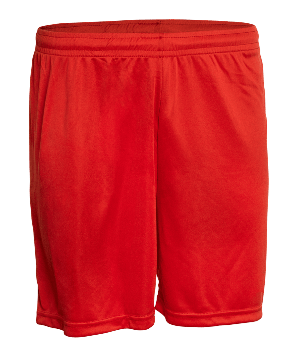 Derbystar Basic Hose Rot F300 - rot