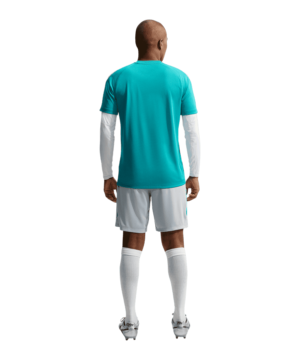 Nike Strike Short Grau F012 - grau