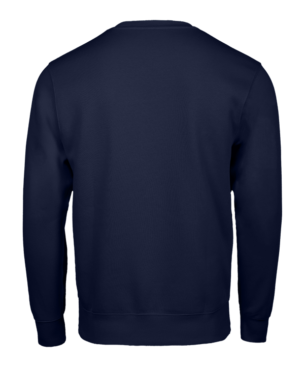 Nike Park 26 Swoosh Sweatshirt Kids Blau F410 - blau