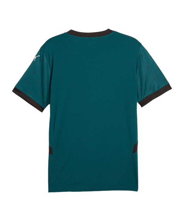 PUMA RC Lens Trikot Away 2024/2025 Grün F02 - gruen