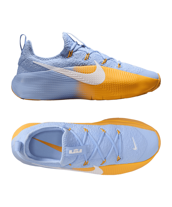 Nike LeBron TR 1 Grau F401 - blau