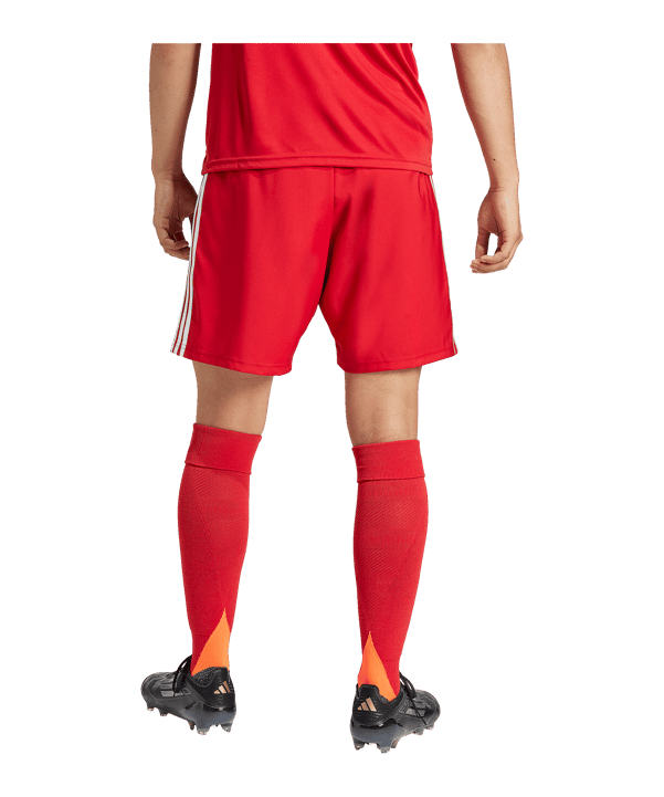 adidas Tastigo 25 Short Rot - rot