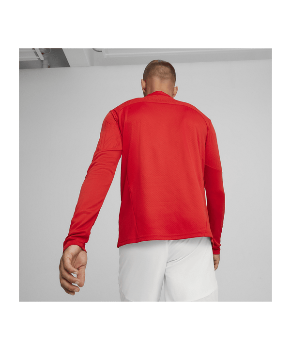 PUMA teamFINAL Training 1/4 Zip Sweatshirt Rot F01 - rot