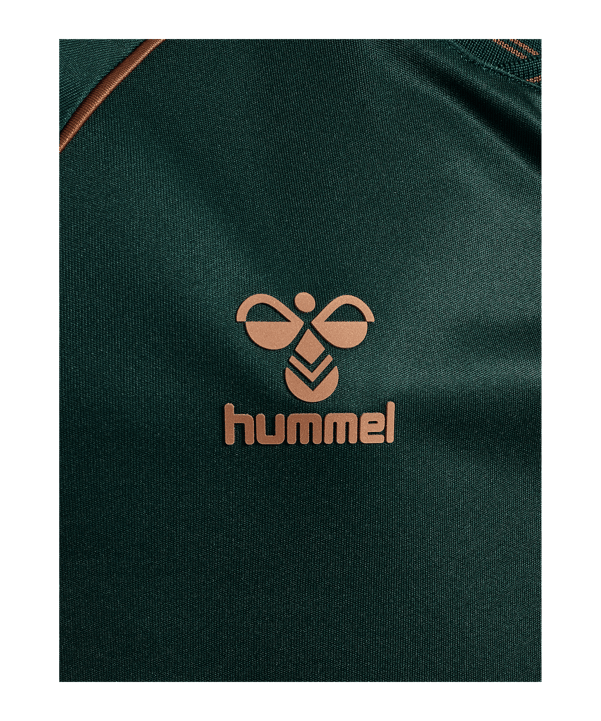 Hummel SV Werder Bremen Trikot 3rd 2025/2026 Kids Grün F6108 - gruen