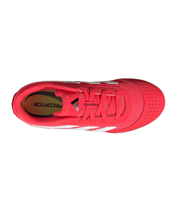 adidas Predator Club IN Pure Victory Kids Rot - rot