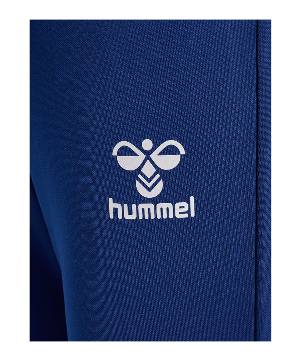 Hummel Dallas Anzug Kids Blau F7424 - blau