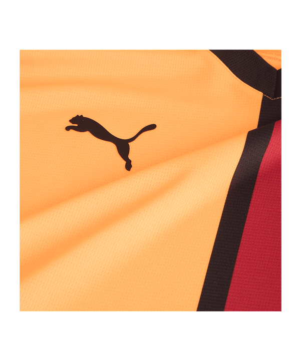 PUMA Galatasaray Istanbul Trikot Home 2024/2025 Rot F01 - rot