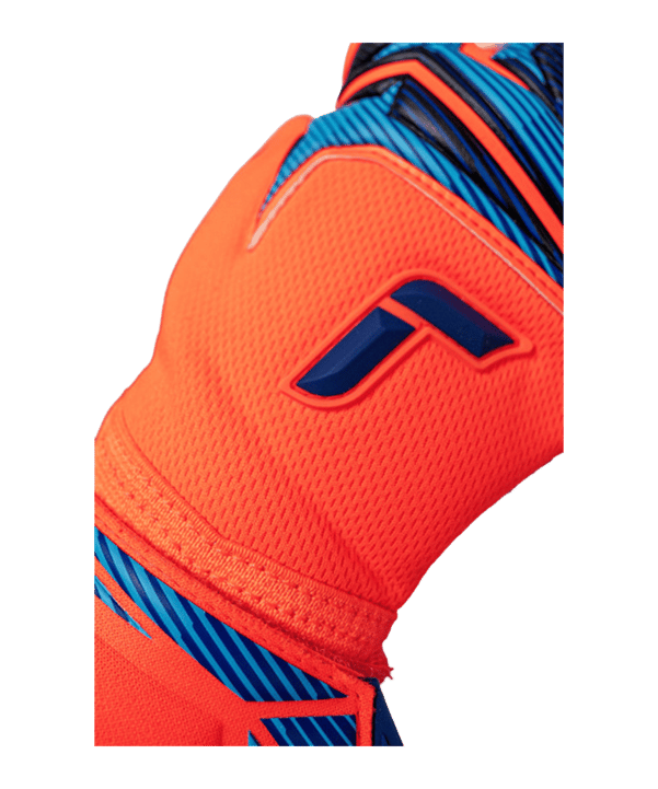 Reusch Attrakt Fusion NC Torwarthandschuhe Orange