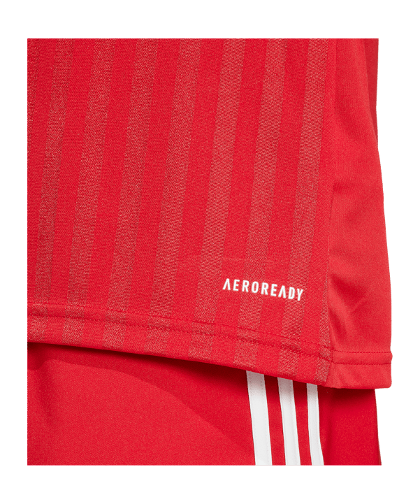 adidas Campeon 25 Trikot Rot - rot