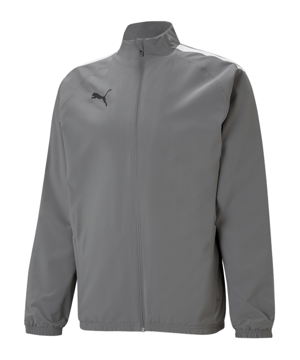 PUMA teamLIGA Sideline Jacke Grau Weiss F13 - grau