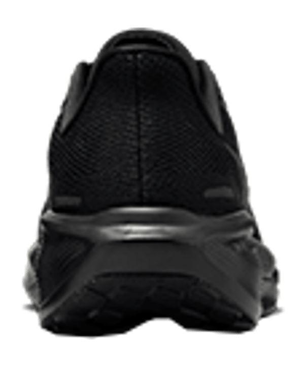 Nike Pegasus 41 Road Laufschuh Schwarz F001 - schwarz