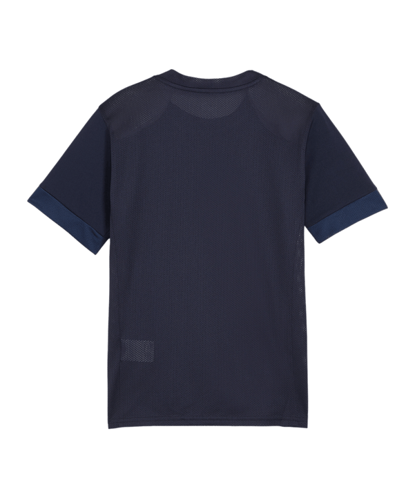 PUMA teamGOAL Matchday Trikot Kids Blau Weiss F06 - blau