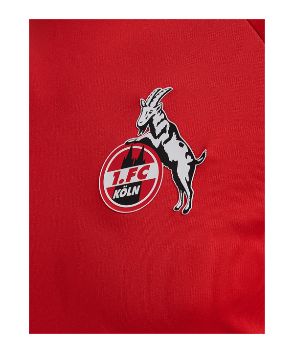 Hummel 1. FC Köln Pro Trainingsshirt Rot F3062 - rot