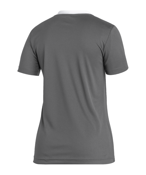 adidas Entrada 22 Trikot Damen Grau Weiss - grau