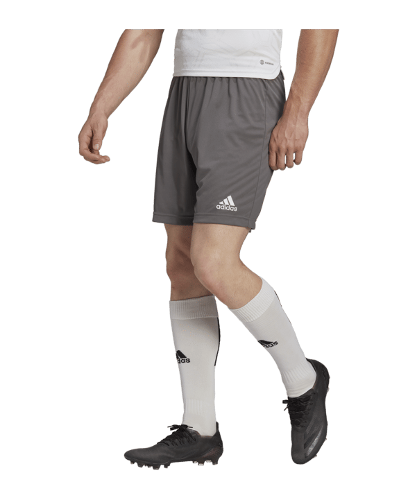 adidas Entrada 22 Short Grau - gruen