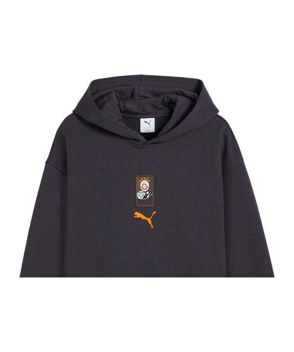 PUMA Galatasaray Istanbul ftblCulture Relaxed Hoody Grau F19 - grau