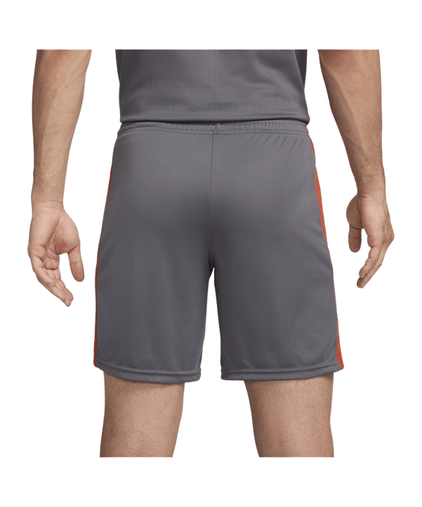Nike Academy 23 Short Grau F068 - grau