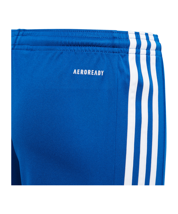 adidas Squadra 21 Short Kids Blau Weiss - blau