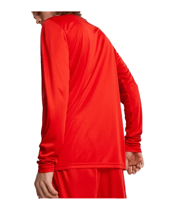 PUMA Hoops Team Shooting Sweatshirt Rot F03 - rot