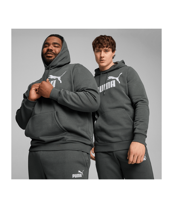 PUMA Essentials Big Logo Hoody Grau F069 - grau
