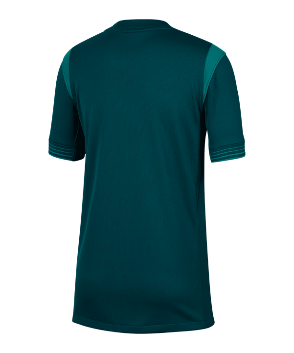 Nike NFF Nigeria Trikot Home 2025/2026 Kids Grün F483 - gruen