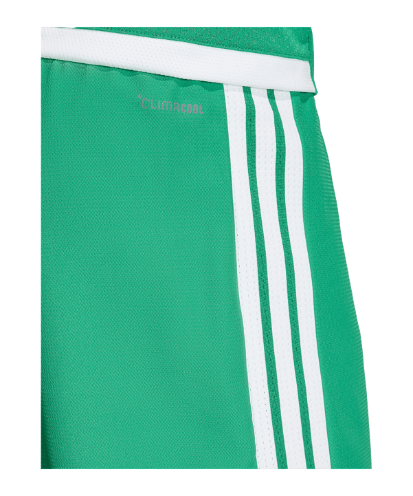 adidas Tiro 26 Short Grün - gruen
