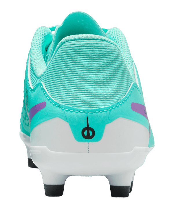 Nike Jr Tiempo Legend X Academy FG/MG Peak Ready Kids Grün Schwarz Pink F300 - gruen