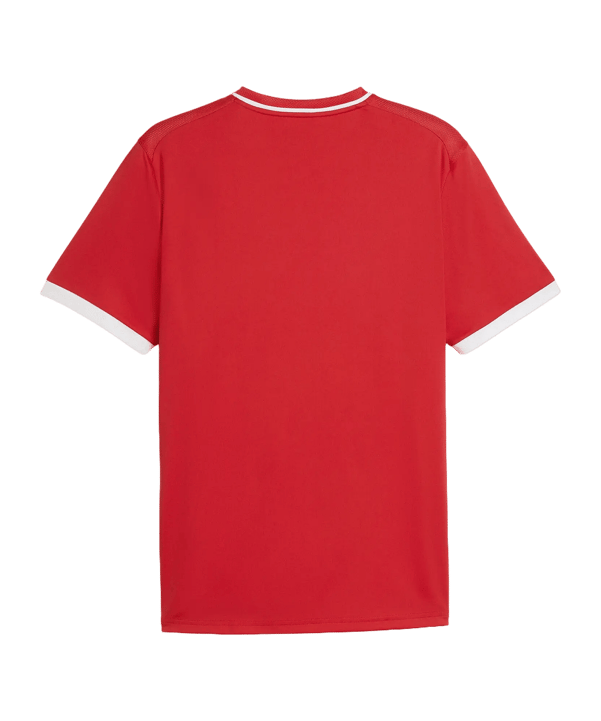 PUMA teamLIGA26 Striped Trikot Rot F01 - rot
