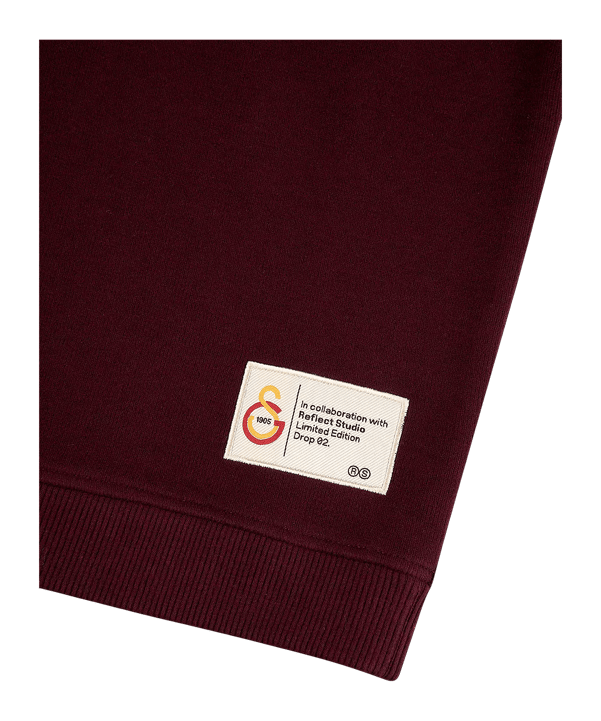 GSSTORE X Reflect Studio Lion Hoody Kids Rot - rot