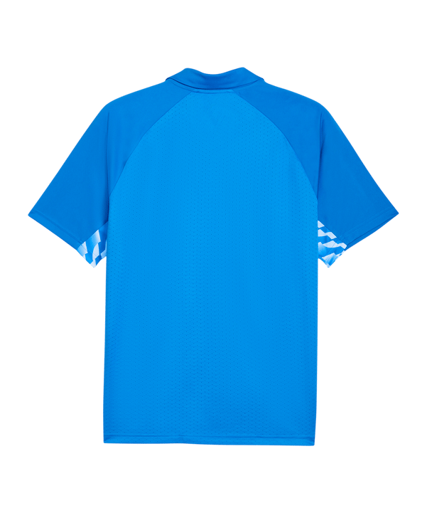 PUMA teamLIGA26 Sideline Polo Blau F02 - blau