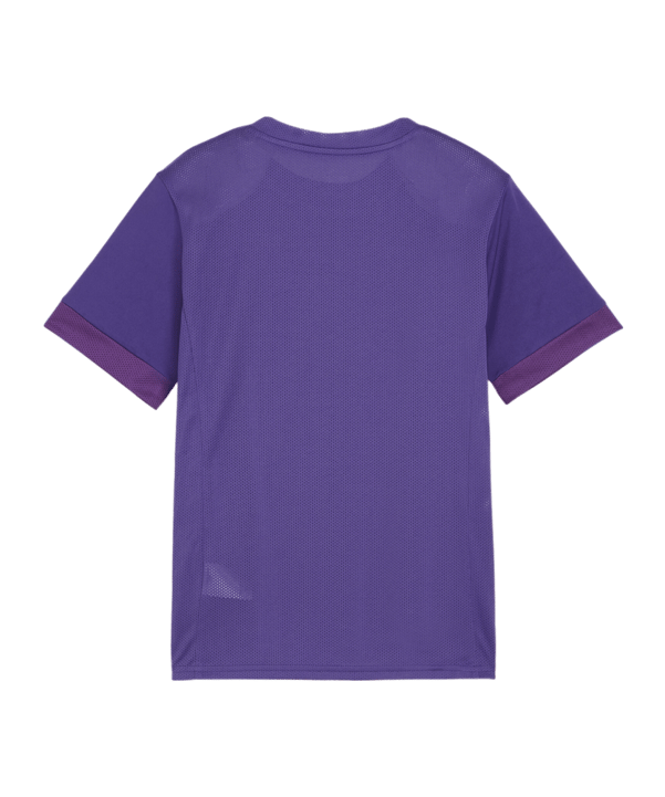 PUMA teamGOAL Matchday Trikot Kids Lila Weiss F10 - lila