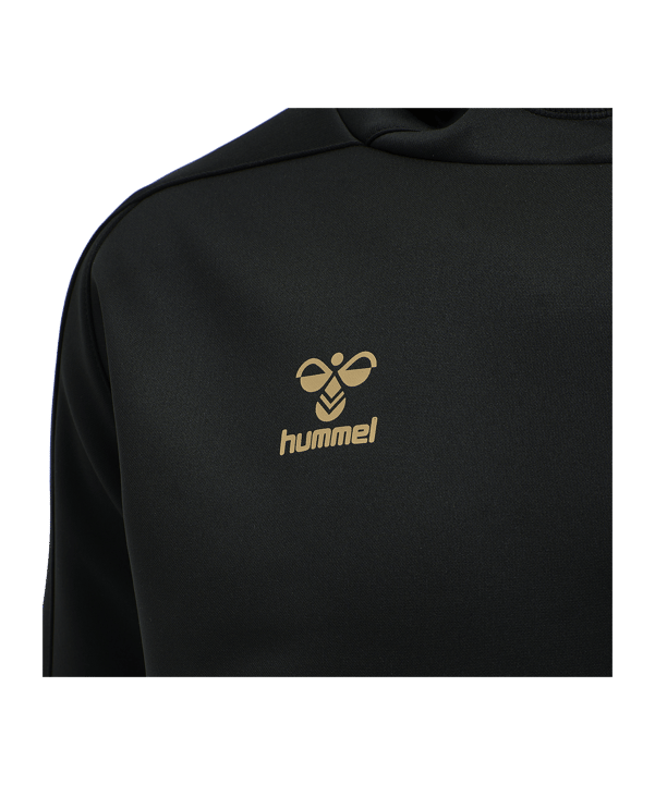 Hummel hmlCIMA XK Hoody Schwarz F2001 - schwarz