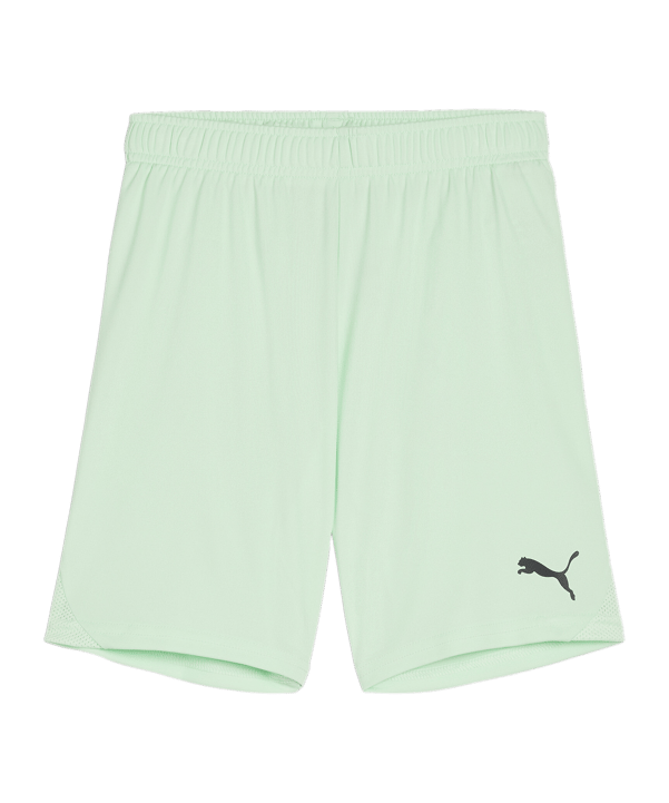 PUMA teamGOAL Short Kids Grün Schwarz F60 - gruen