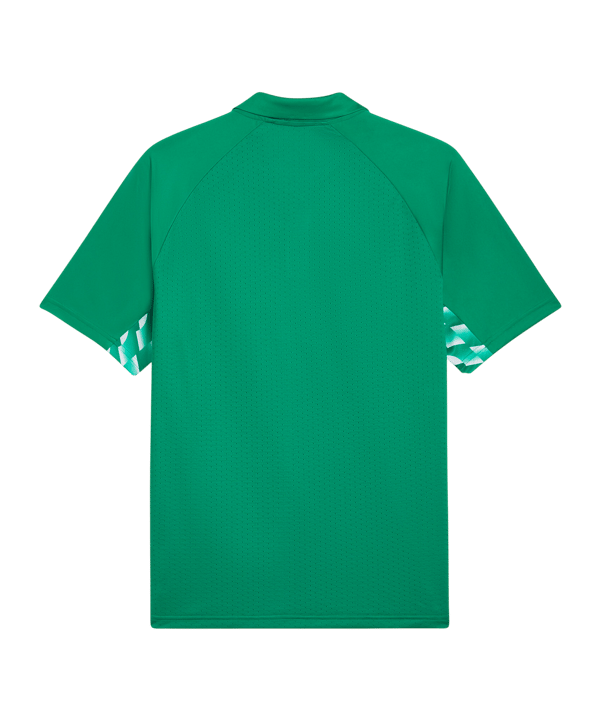 PUMA teamLIGA26 Sideline Polo Grün F05 - gruen