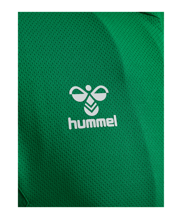 Hummel AUTHENTIC PL Trainingsjacke Grün F6235 - gruen