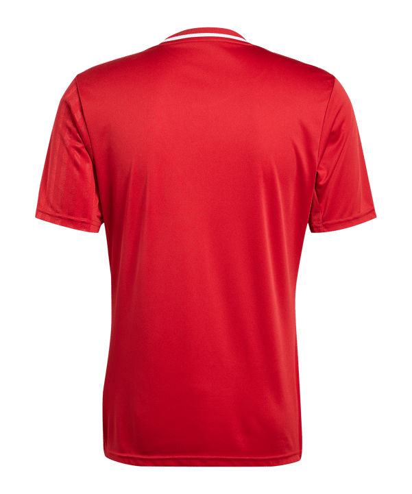 adidas Campeon 25 Trikot Rot - rot