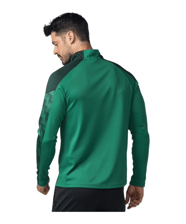 Erima EVO STAR Trainingsshirt Grün F1262403 - gruen