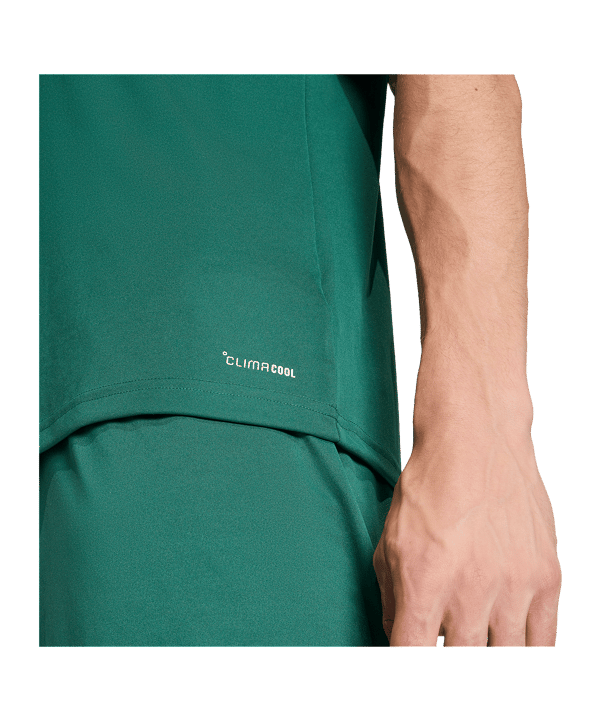 adidas Entrada 26 Trikot Grün - gruen