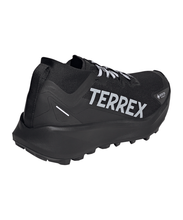 adidas Terrex Agravic GTX Schuh Damen Schwarz - schwarz