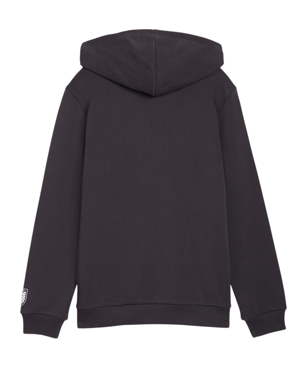 PUMA ÖFB Österreich FtblCulture Hoody Kids Grau F25 - grau