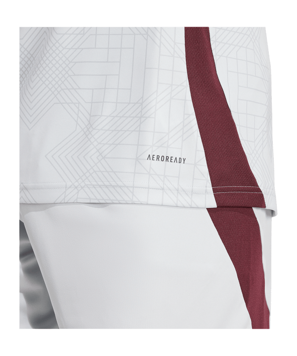 adidas Ajax Amsterdam Trikot 3rd 2024/2025 Grau - grau
