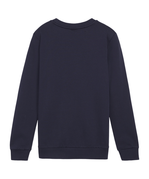 PUMA teamGOAL Casuals Sweatshirt Kids Blau F06 - dunkelblau